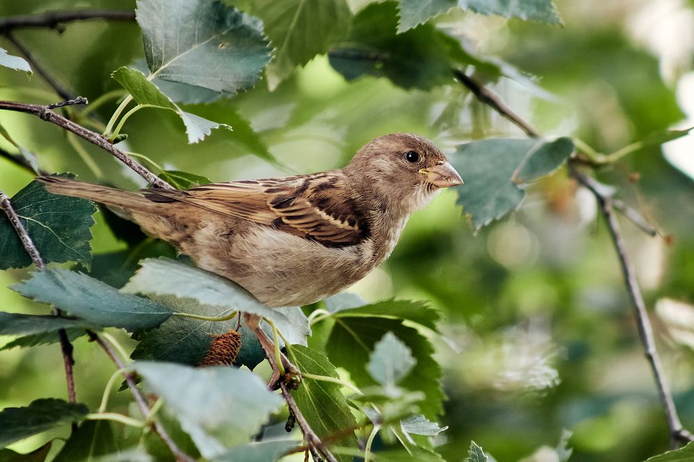 Photograph by Леонтьева Татьяна