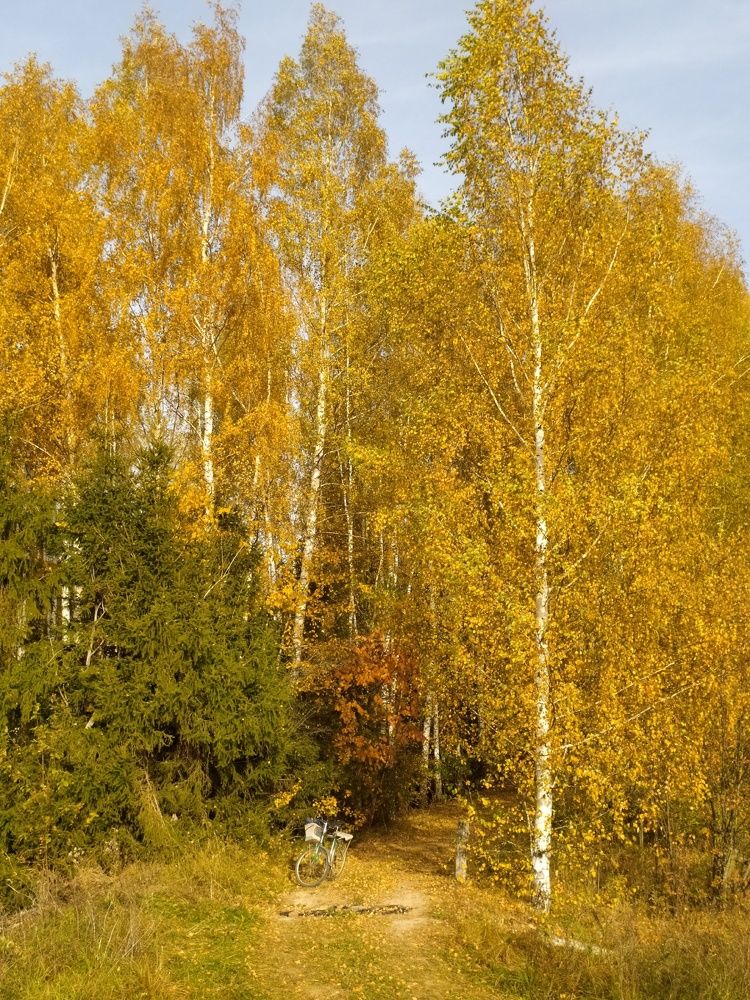 Photograph by Юрий Гордеев