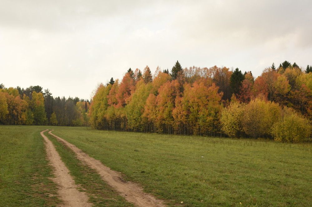 Photograph by Владислав Рубцов