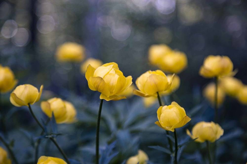 Photograph by Леонтьева Татьяна