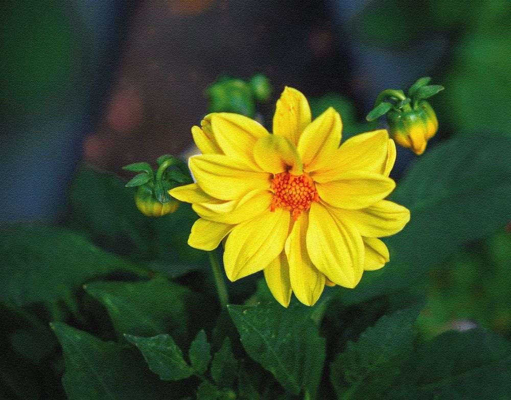 Photograph by Елена Репьева