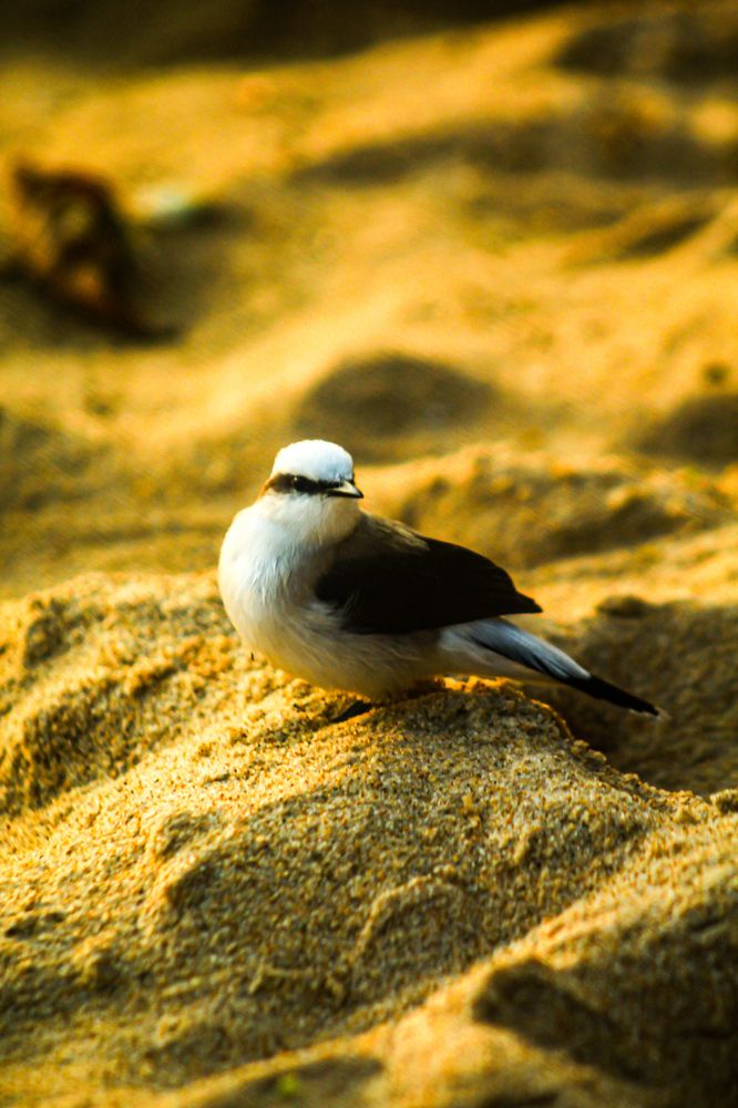 Photograph by Márcio Garcia