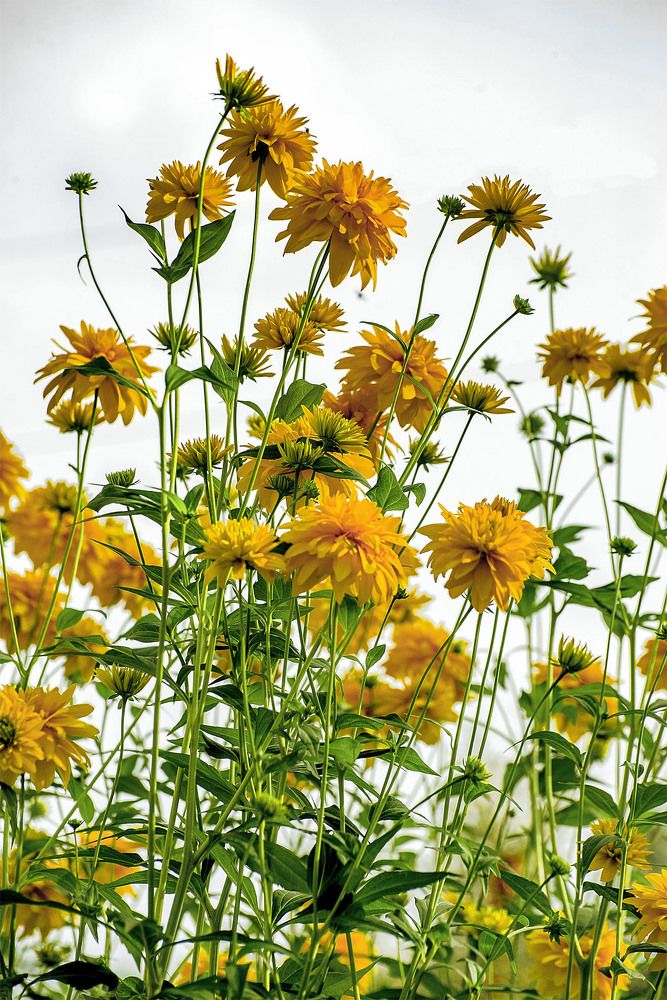 Photograph by Пушкин Сергей