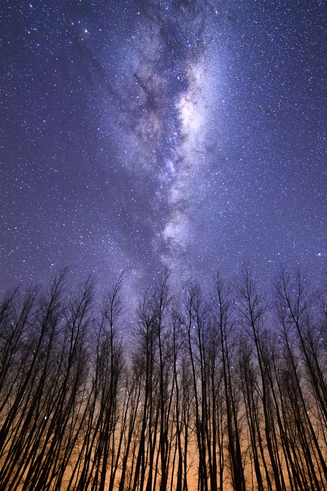 Photograph by Luis Sebastian Jeremías