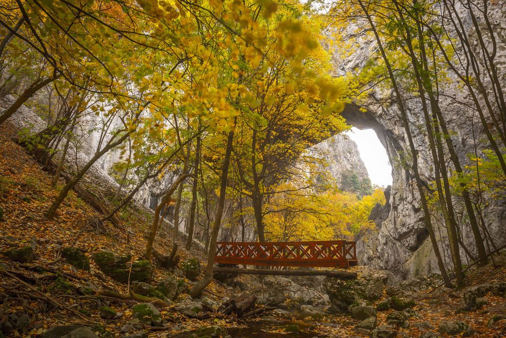 Photograph by Hadzi Miodrag Miladinovic