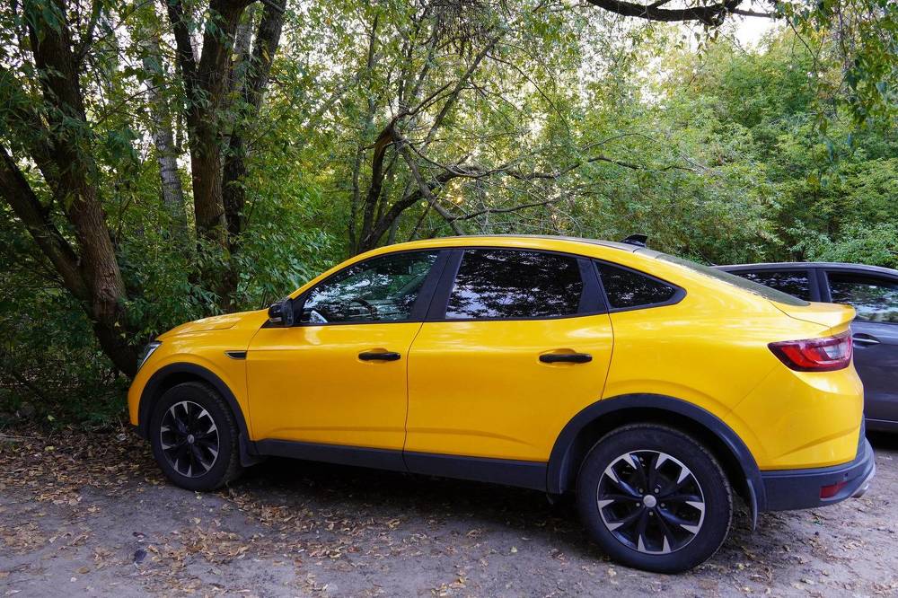 Photograph by Светлана Хохлова