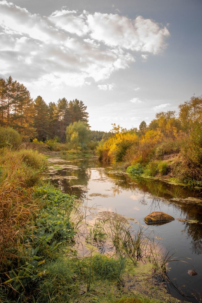 Фотография автора Геннадий Коробов