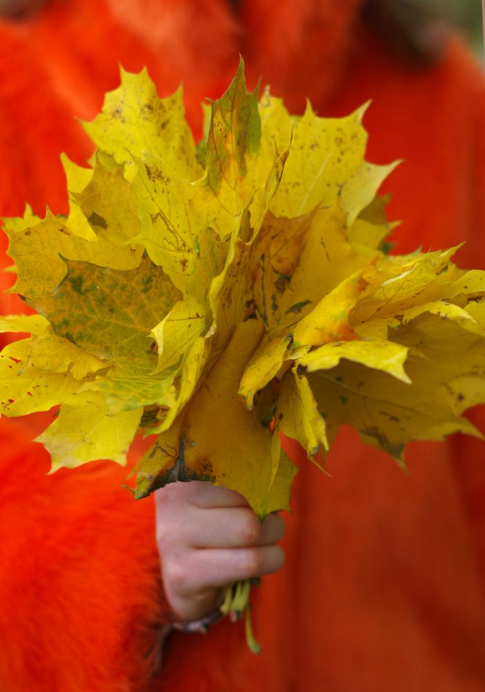 Photograph by Nadezda Sarap