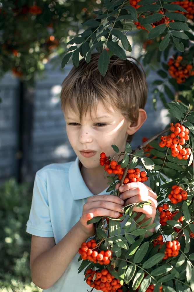 Photograph by Светлана Кочнева