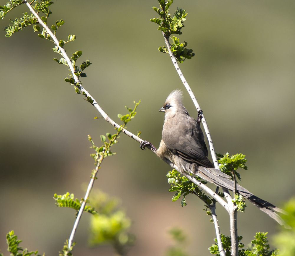 Photograph by Валентина Лопаткина