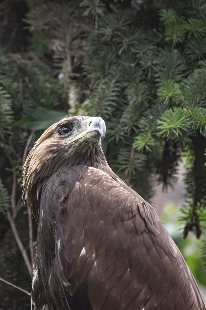 Photograph by Бурикова Екатерина