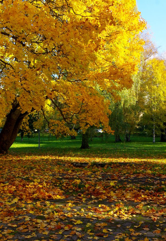 Photograph by Nadezda Sarap