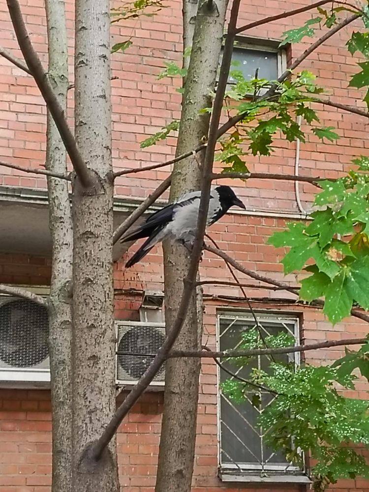 Photograph by Татьяна Пальчикова