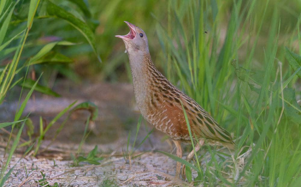 Photograph by Вадим Мелихов