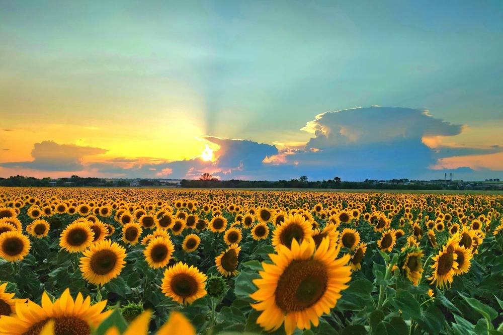 Photograph by Александр Малышев