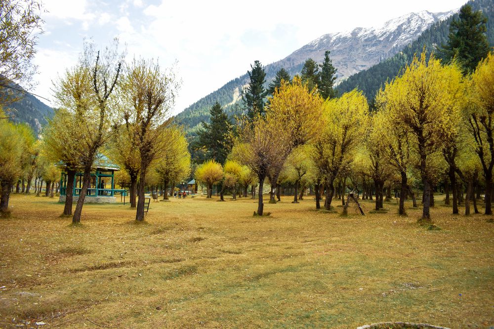 Photograph by Souvik Bhattacharyya