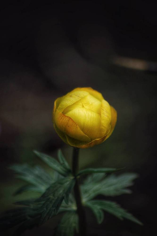 Photograph by Астафьева Анастасия