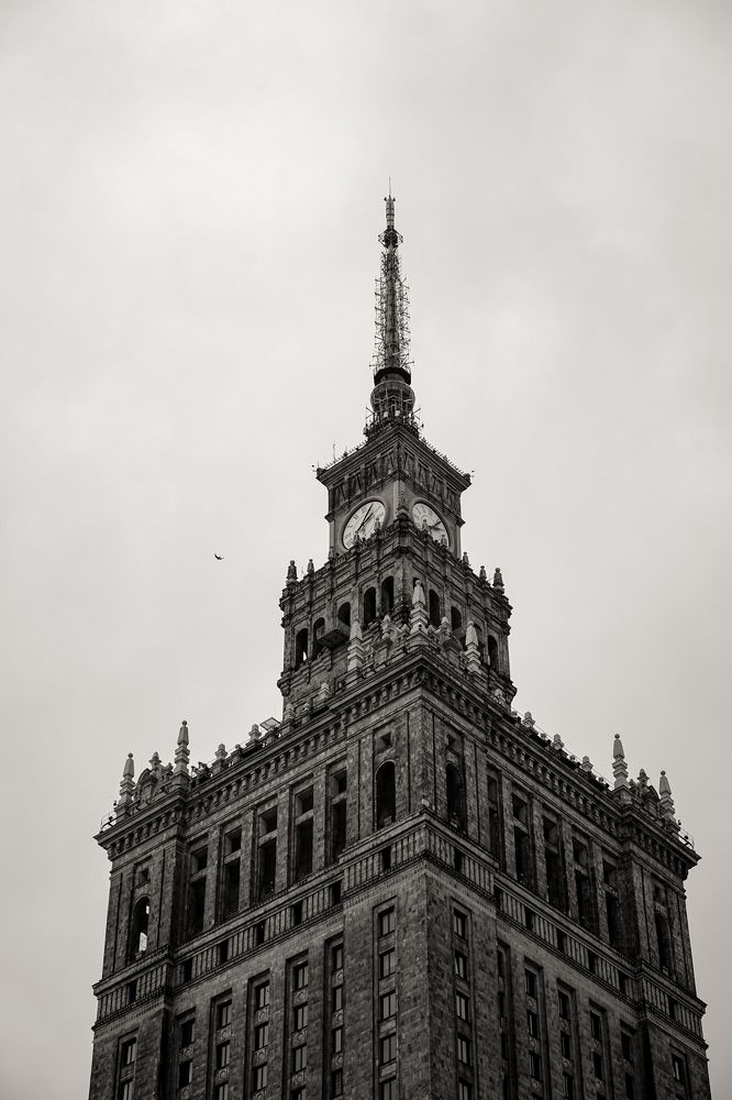 Фотография автора Alina