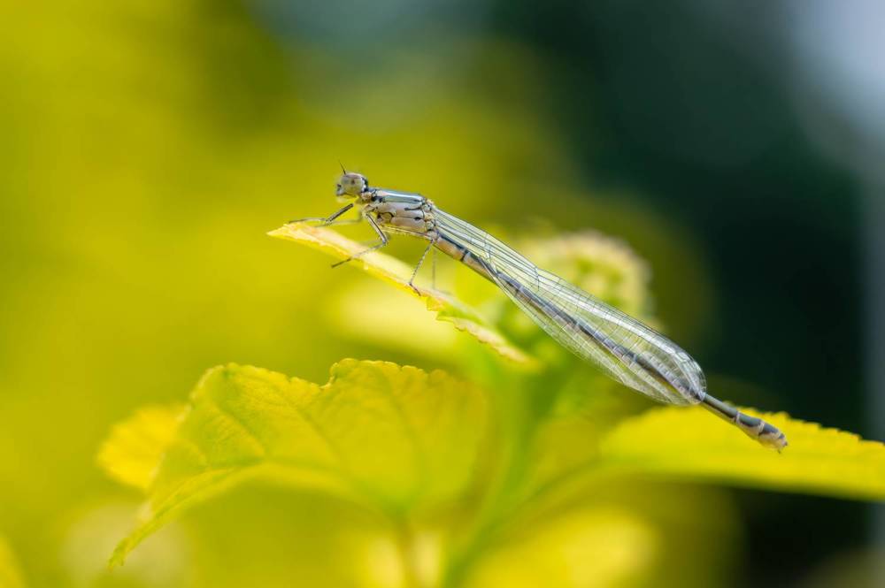 Photograph by Вадим Мелихов