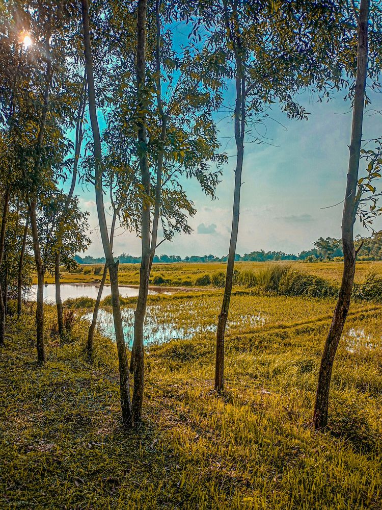 Photograph by Souvik Bhattacharyya