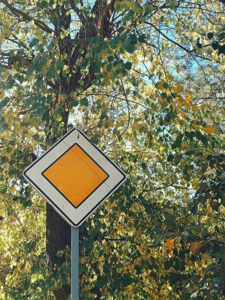 Photograph by Anastasiya Danilova