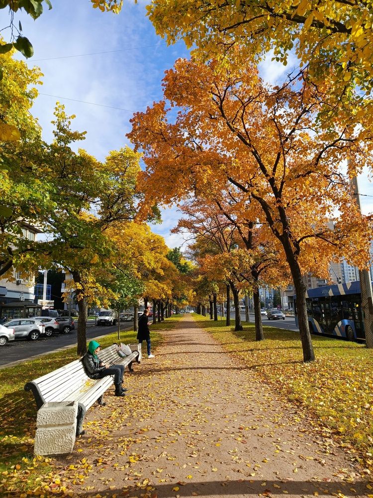 Питерская осень