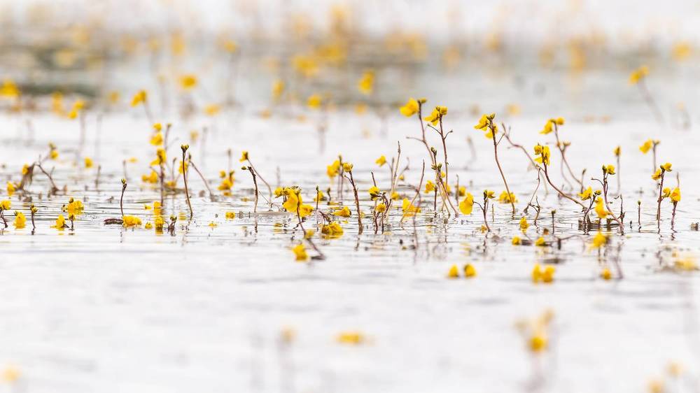 Photograph by Вадим Мелихов