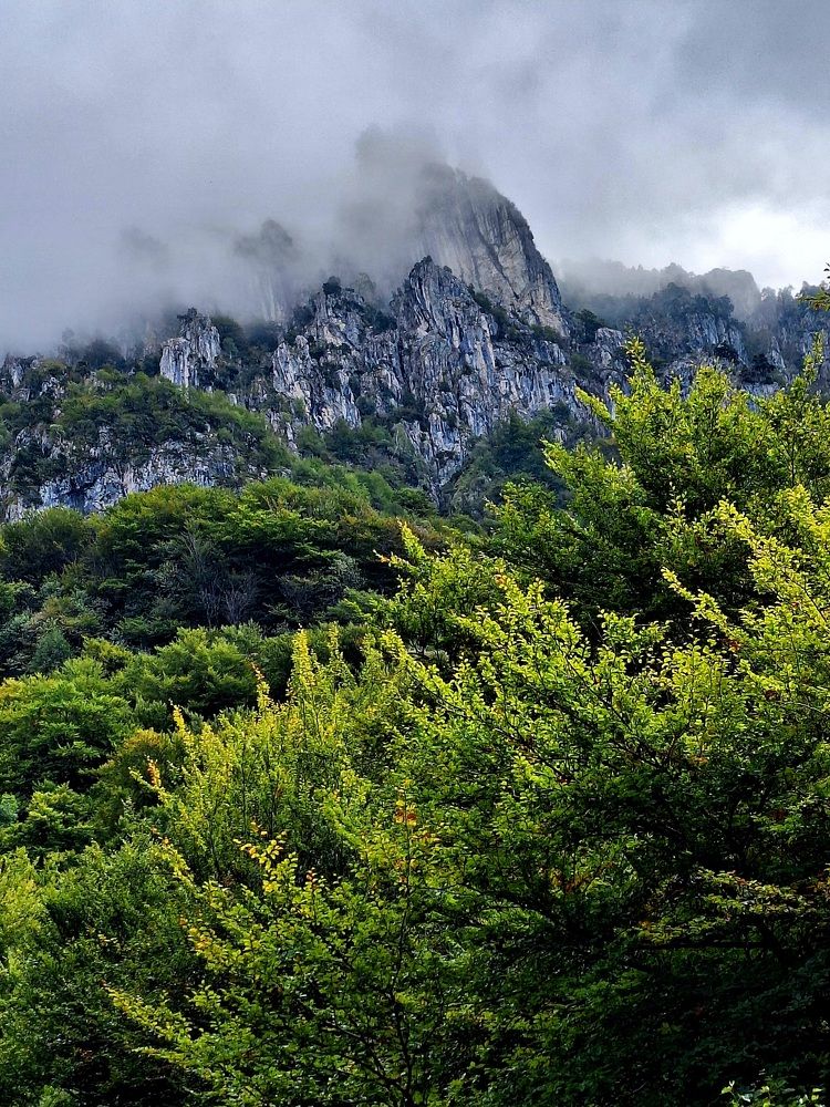 Photograph by Sonia Crotta