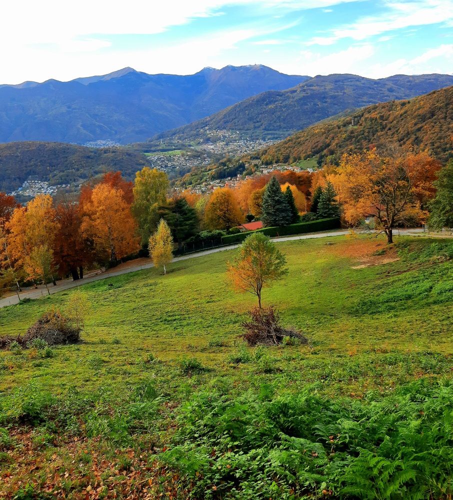 Photograph by Sonia Crotta