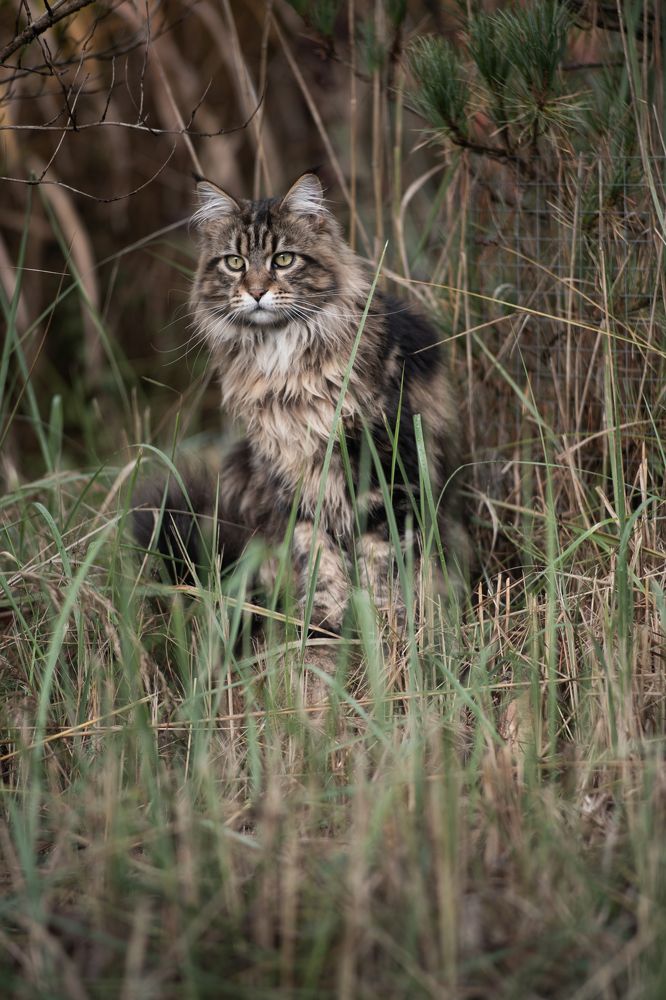 Photograph by Саша Зугров