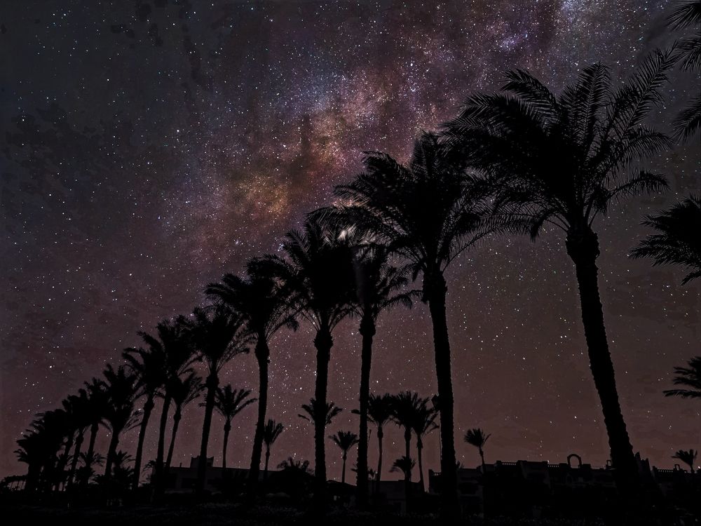 Photograph by Mohamed Omar Ziada