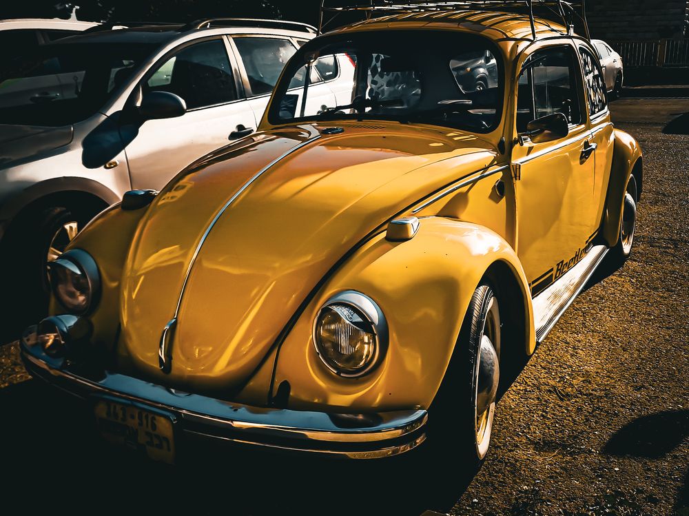 Photograph by Katya Sroliushe