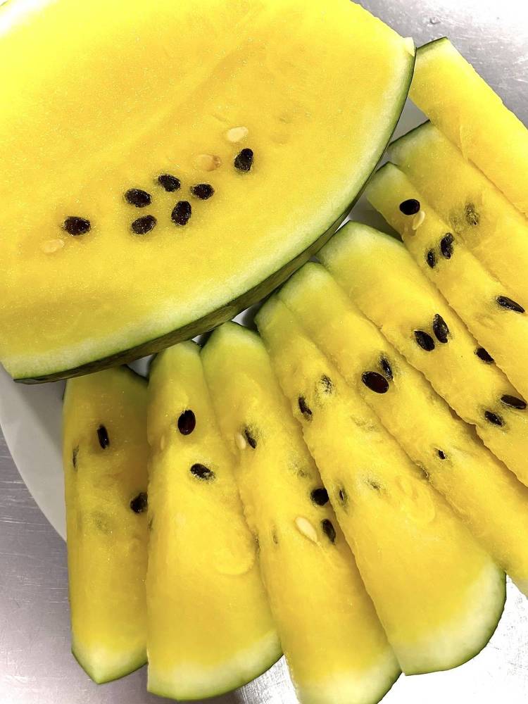 Photograph by Svetlana Rashidova