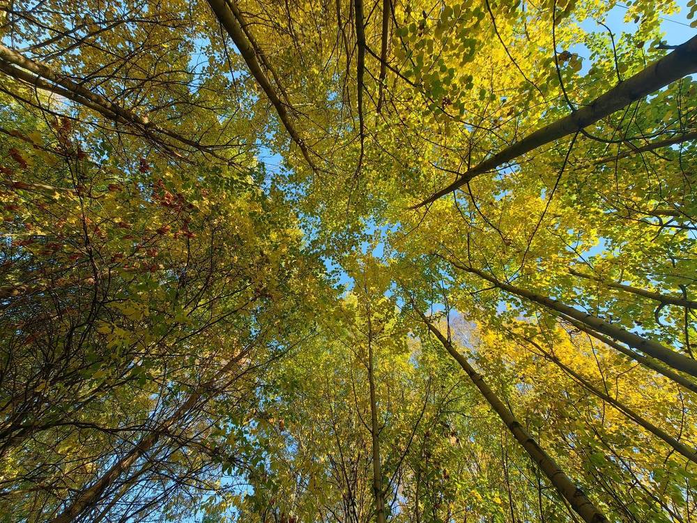 Photograph by Maiya Bulatova