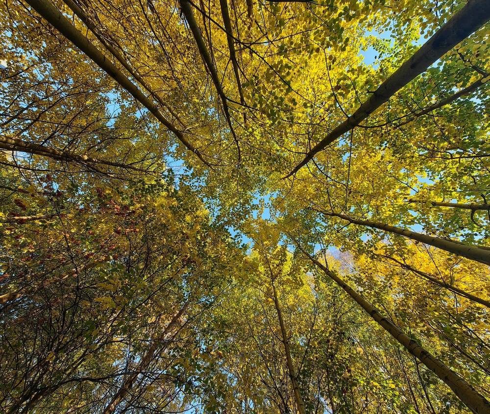 Photograph by Maiya Bulatova