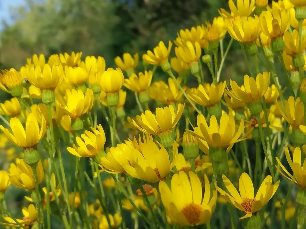 Photograph by Юлия Фирман