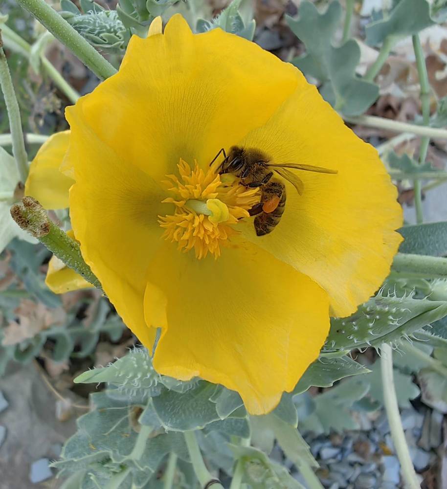 Photograph by Maiya Bulatova