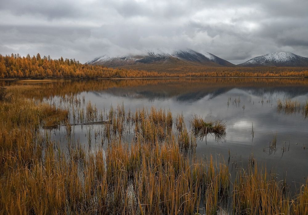 Photograph by Александр Попов