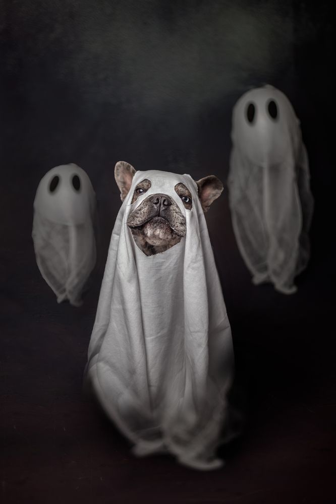 Photograph by Goené Gertrude