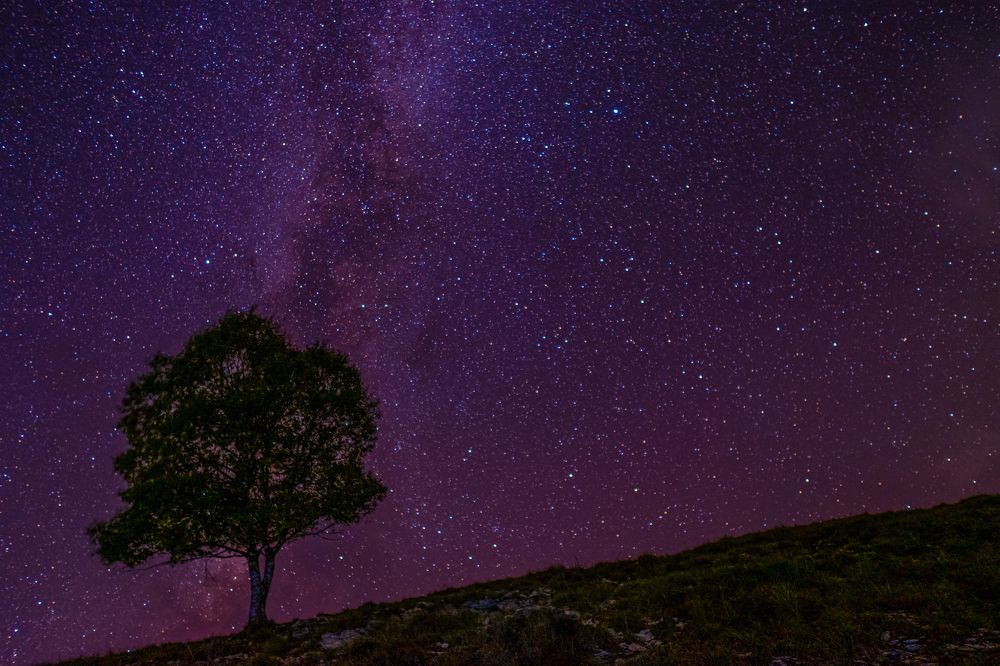 Photograph by Дмитрий Гривцов