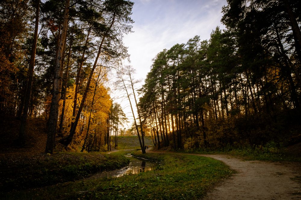 Photograph by Дмитрий Гривцов