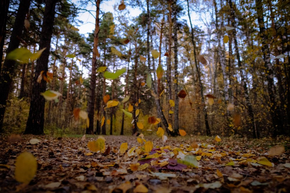 Photograph by Дмитрий Гривцов