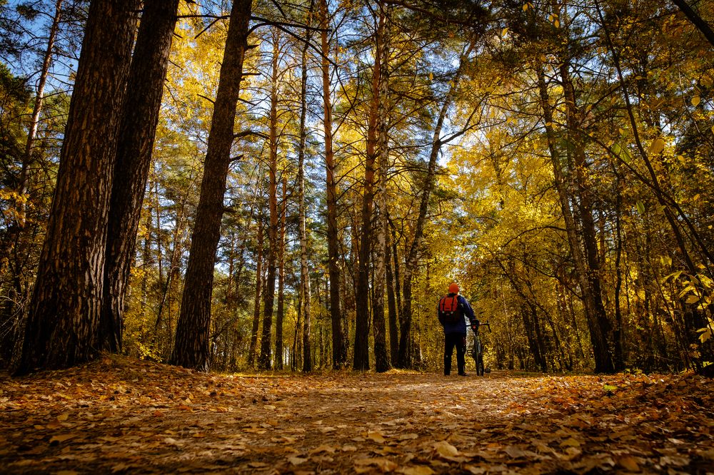 Photograph by Дмитрий Гривцов