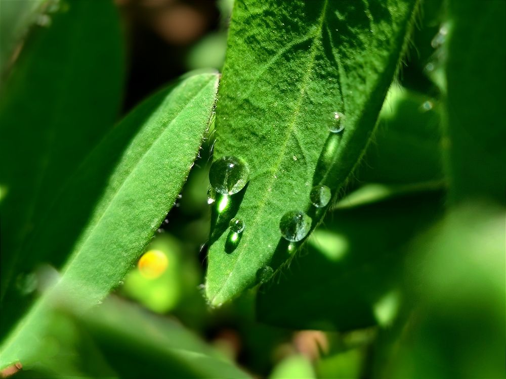 Photograph by Юля