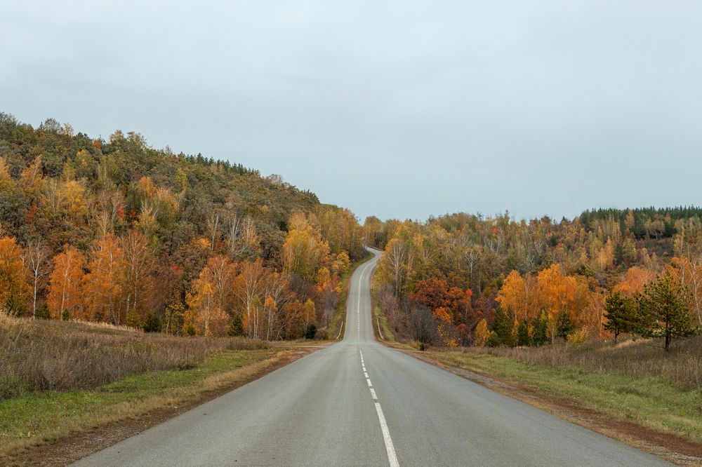 Photograph by Светлана Бохан