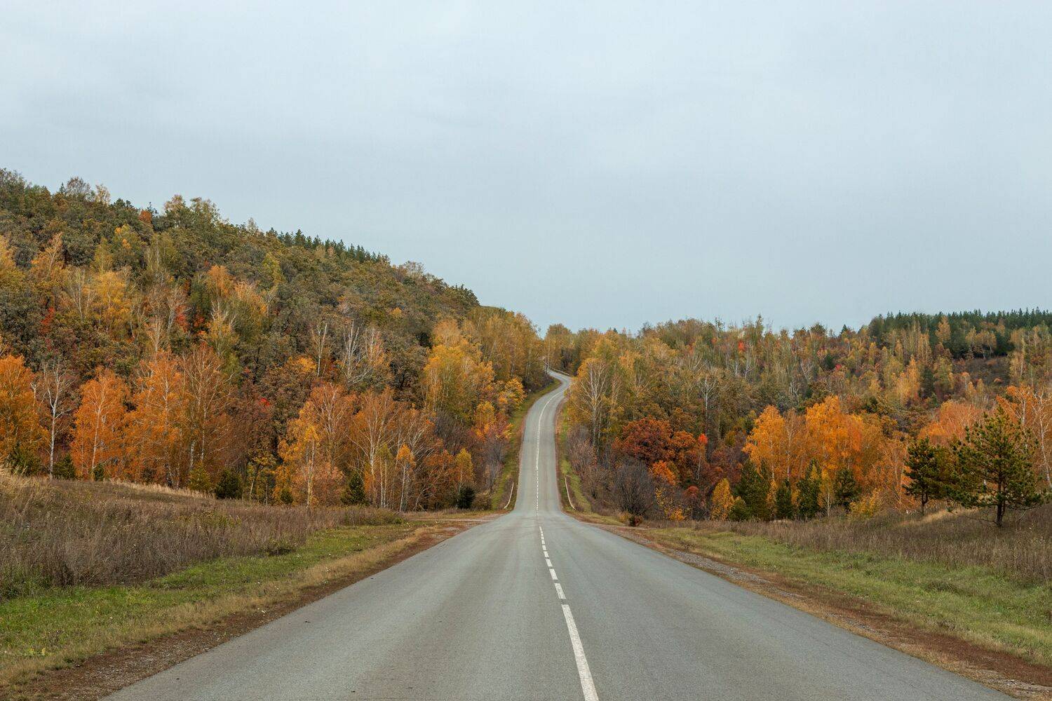 Photo #11126729