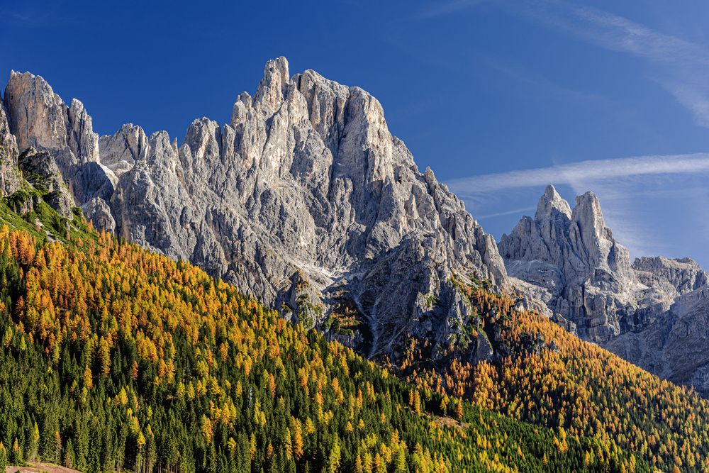 Фотография автора Paolo Barbarini