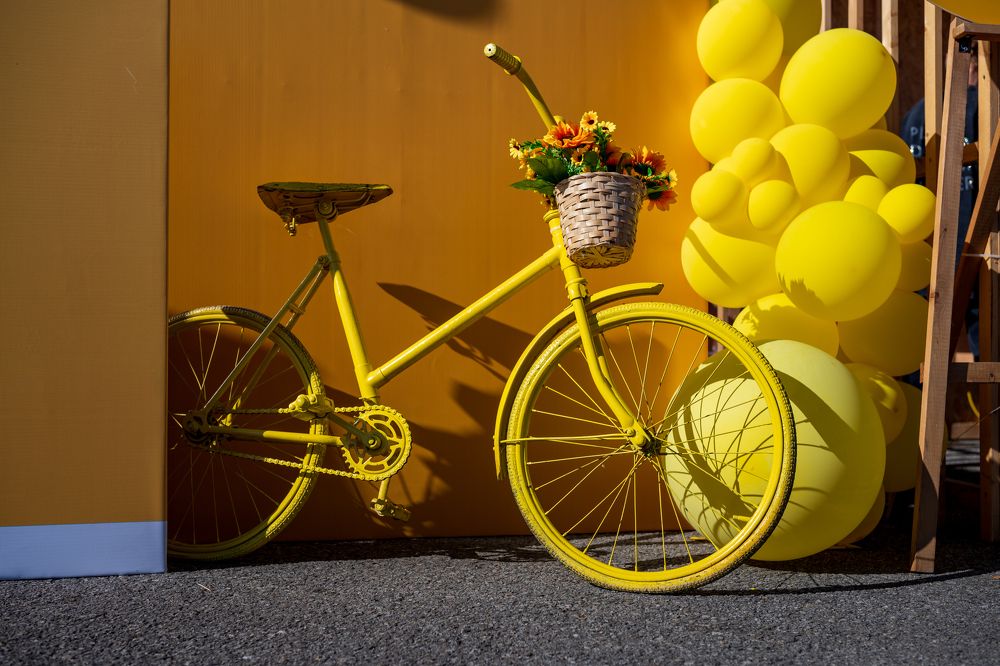 Фотография автора Дмитрий Referee