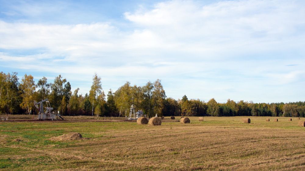 Фотография автора Мария Черница