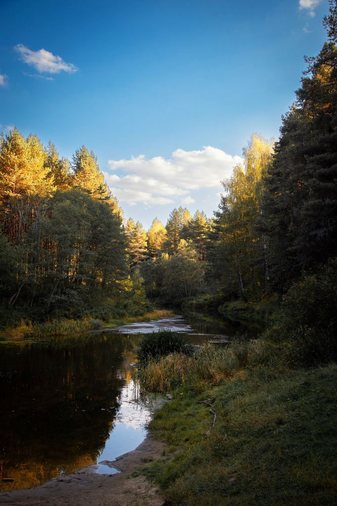 Фотография автора Геннадий Коробов